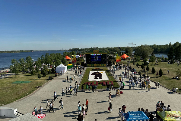 ���� ������ ���������