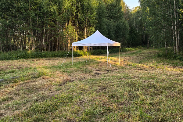 XVI-� ��������� ���������-������� ���������� ����� "����������� ������"