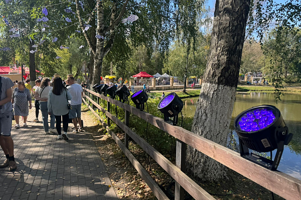 ���� ������ ��������