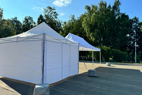 ���� ������ ��������