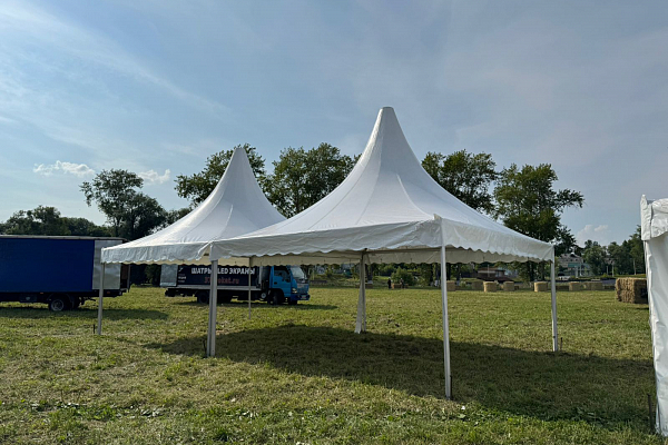 �������-��������� ��������� ������� ��������, �.�������� �����