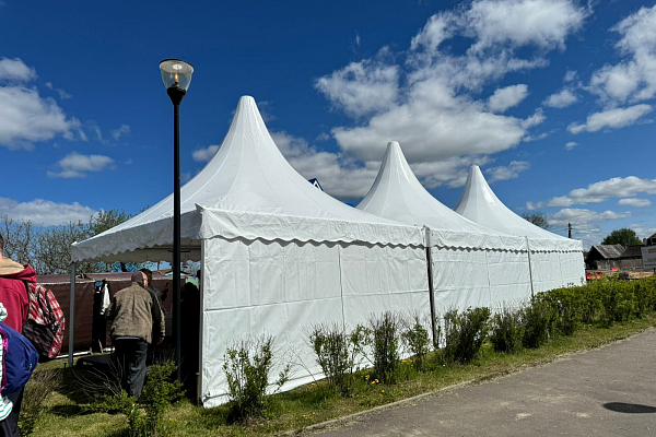 ���-��������� �������� ��������, �.�����