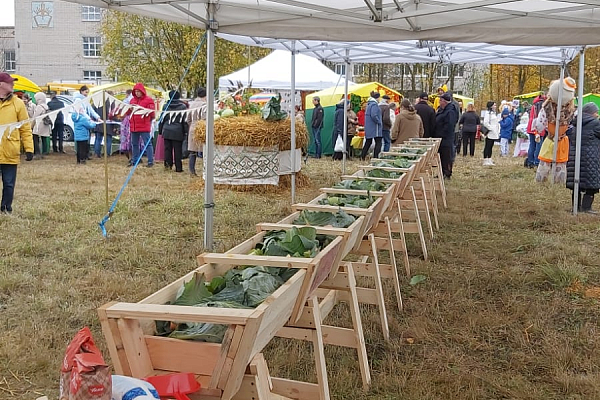 ���������� ���������, �.����-������