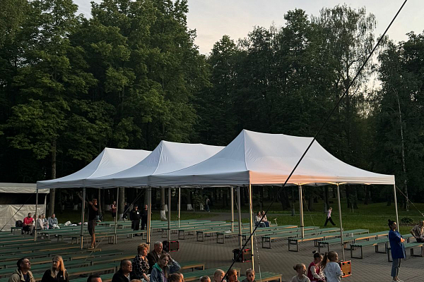 ���� ������ ���