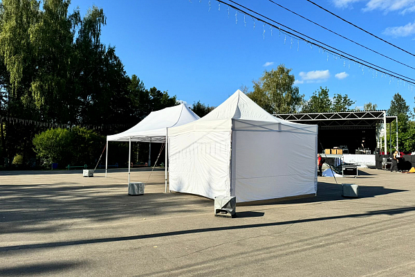 ���� ������ ��������