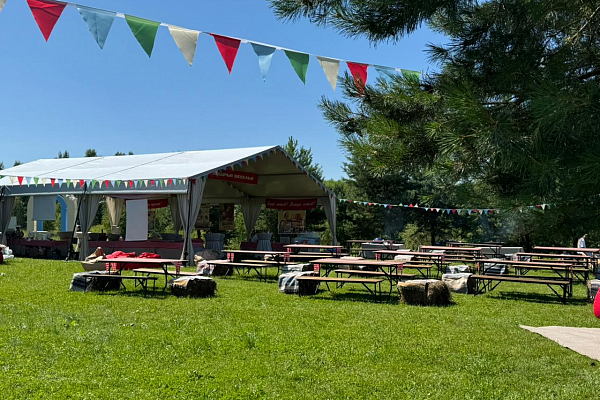 ������� �����������, �. ������