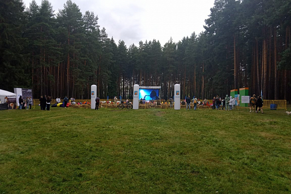 ��������� �������� ����, �.�������