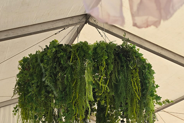 ������ �������, �.�������