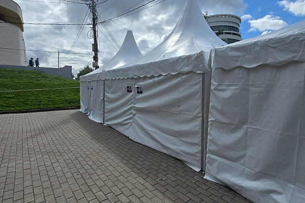 ���� ������ �������