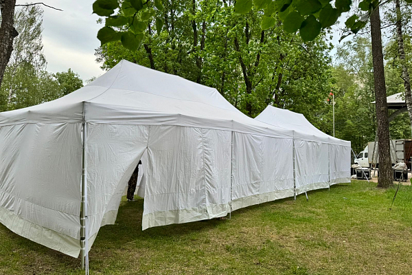 ��������������� ���������-������� ��������������� ���������� ����������� ��������, �.�������