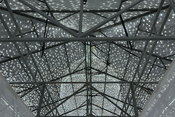 ���-������ "����", �.���