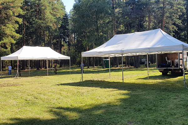 ��������� �������� ����, �.�������