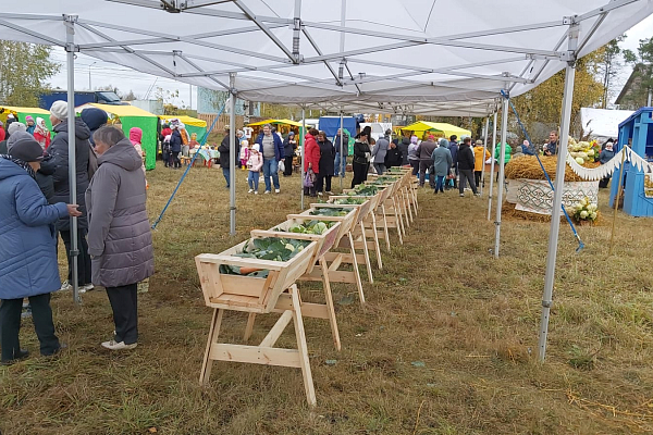 ���������� ���������, �.����-������