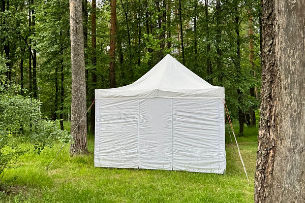 ��������������� ���������-������� ��������������� ���������� ����������� ��������, �.�������