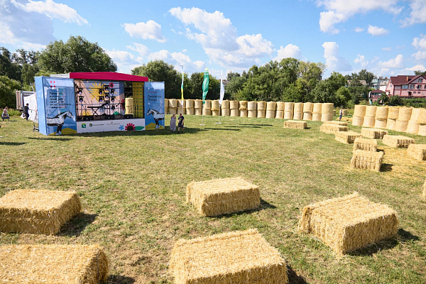 �������� ������� ��������, �.�������� �����