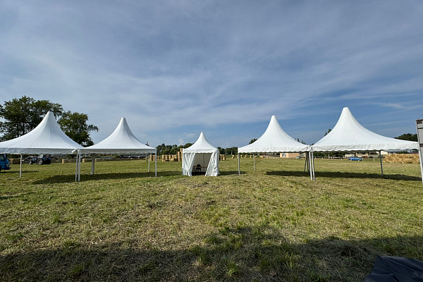 �������-��������� ��������� ������� ��������, �.�������� �����