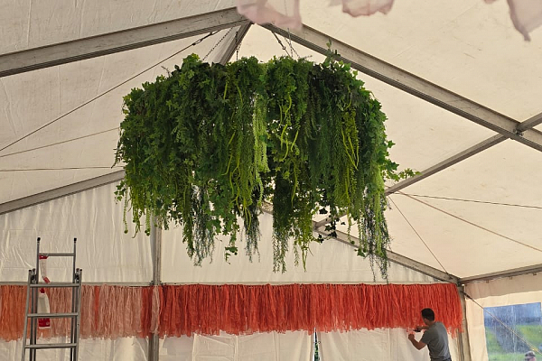 ������ �������, �.�������