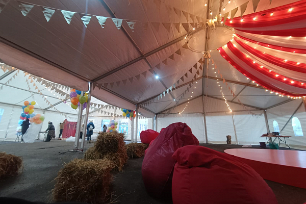 ������� �����������, �. ���