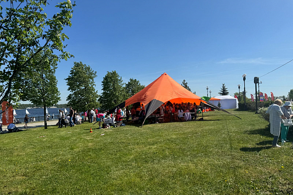 ���� ������ ���������