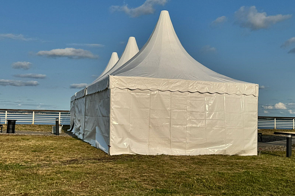 ������������� ������� ������������ ������ ��������. �������, �.�������