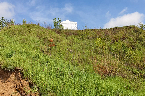 ��������� � ���������� ��� �� ���������� "����� �������� - 2023", � �������-��-�����