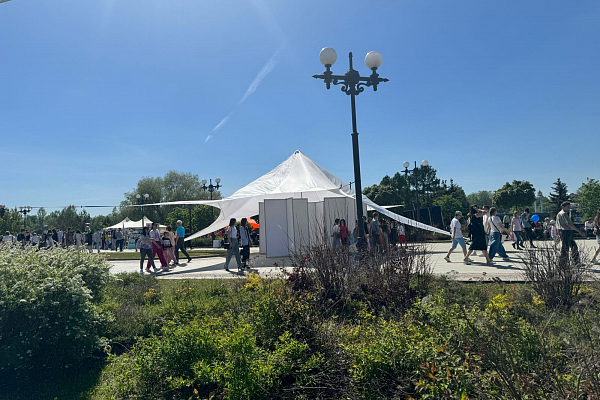 ���� ������ ���������