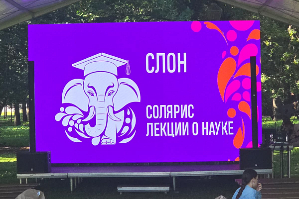 ���� ������ ������� 2025