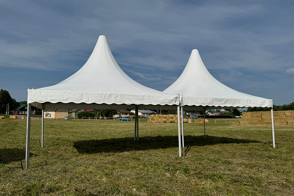 �������-��������� ��������� ������� ��������, �.�������� �����