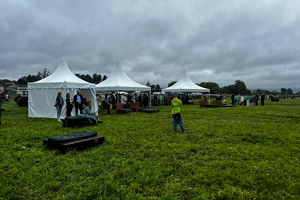 �������-��������� ��������� ������� ��������, �.�������� �����